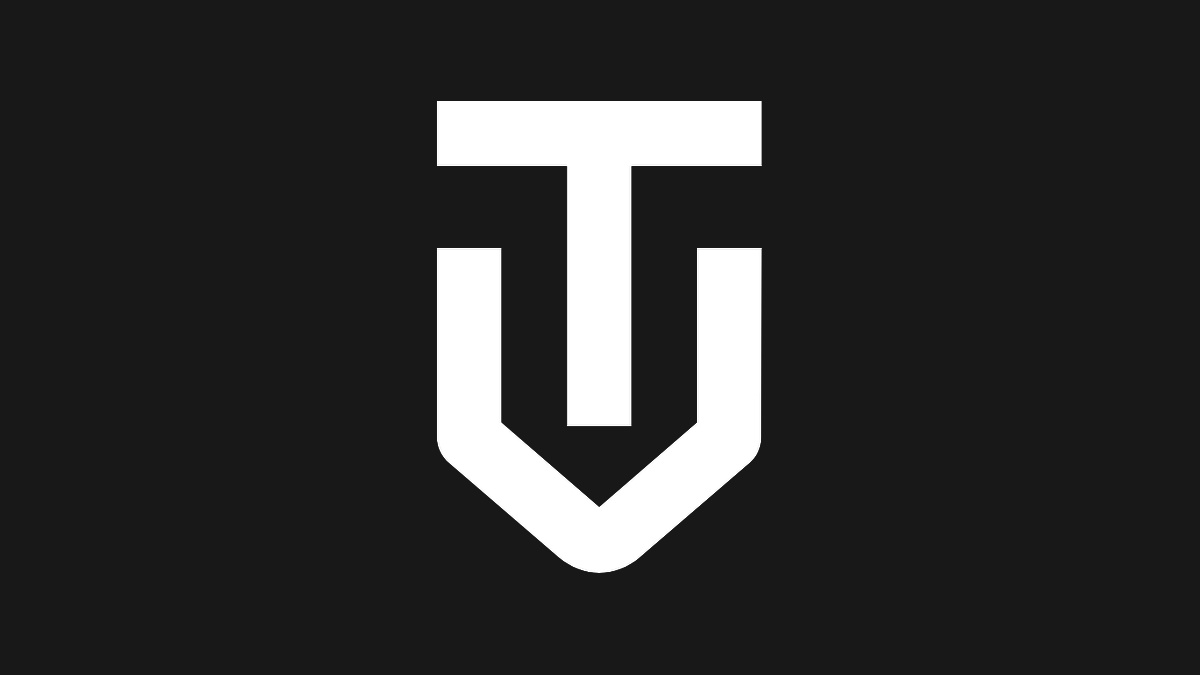 ThermoVue logo